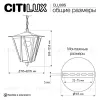Уличный подвесной светильник Citilux Forts CLU09S CLU09S - 10