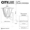 Уличный настенный светильник Citilux Forts CLU09W CLU09W - 10