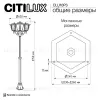 Парковый светильник Citilux Forts CLU10P3 CLU10P3 - 12