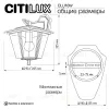 Уличный настенный светильник Citilux Forts CLU10W CLU10W - 9