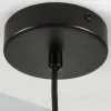 Подвесной светильник Lightstar Fenicia 799357 799357 - 7