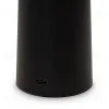 Настольная аккумуляторная лампа Freya Mushroom FR6109TL-L4B FR6109TL-L4B - 8