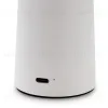 Настольная аккумуляторная лампа Freya Mushroom FR6109TL-L4W FR6109TL-L4W - 9