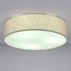 Потолочный светильник LightHall Turdan 50 LH022032 LH022032 - 2