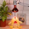 Инфракрасная лампа для обогрева животных Эра ИКЗК 230-150 R127 Б0042981 Б0042981 - 7
