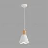 Подвесной светильник Lumion Suspentioni Eoliana 8352/1B 8352/1B - 4