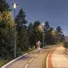Уличный светильник Arlight ALT-MASAR-50W Warm3000 (BK, 150x30 deg, 230V) (IP65 Металл) 057268 057268 - 3