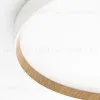 Накладной светильник Citilux Etalon CL750500R CL750500R - 11
