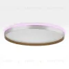 Накладной светильник Citilux Etalon CL750500R CL750500R - 6
