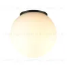 Уличный потолочный светильник Odeon Light Nature Viva 7124/1C 7124/1C - 3