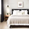 Подвесной светильник Escada Centum 10183/1S 10183/1S - 5
