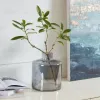 Декоративная ваза Eglo Nabas 421385 421385 - 2
