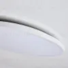 Настенно-потолочный светильник Lightstar Arco Eco 225741 225741 - 2