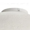 Настенно-потолочный светильник Lightstar Sigma 611646 611646 - 2