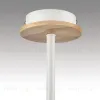 Люстра на штанге Lumion County Irma 8246/3C 8246/3C - 8