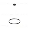 Подвесной светильник Denkirs Raydia DK6272-BK DK6272-BK - 3
