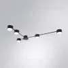 Потолочные люстры Arte Lamp Tracy A1527PL-5BK A1527PL-5BK - 2