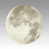 Настенно-потолочный светильник Sonex Pale Moon 3084/CLN 3084/CLN - 4