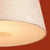 Подвесной светильник Freya Butler FR2057PL-01BG FR2057PL-01BG - 5