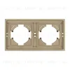 Рамка пластиковая на 2 поста Arlight FRM-TENDO-SFPL-2-GD 054647 054647 - 3
