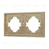 Рамка пластиковая на 2 поста Arlight FRM-TENDO-SFPL-2-GD 054647 054647 - 1