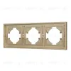 Рамка пластиковая на 3 поста Arlight FRM-TENDO-SFPL-3-GD 054651 054651 - 1