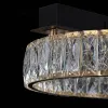 Потолочная люстра Citilux Palant CL325142 CL325142 - 7