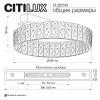 Потолочная люстра Citilux Palant CL325142 CL325142 - 11