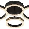 Потолочный светильник Rivoli Flora 6191-201 Б0068425 - 2