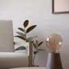 Настольная лампа Eglo Asby 44015 44015 - 4