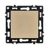 Выключатель кнопочный 1-клавишный 10А/250В с LED подсветкой, золотой Kollinger Asthetik AS-012GD AS-012GD - 1