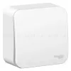 Выключатель 1-клавишный, 10А, 250B Systeme Electric Blanca наруж Бел BLNVA101001 BLNVA101001 - 2