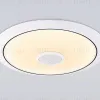 Потолочный светильник Ambrella Light Orbital Dance FZ720 FZ720 - 9