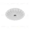 Настенно-потолочный светильник Lightstar Arco Shell 225630 225630 - 1