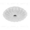 Настенно-потолочный светильник Lightstar Arco Shell 225640 225640 - 1