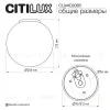 Потолочный светильник Citilux Ron CL941D20B5 CL941D20B5 - 6