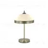Настольная лампа Myfar Biene MR2522-2T MR2522-2T - 1
