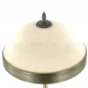 Настольная лампа Myfar Biene MR2522-2T MR2522-2T - 5