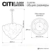 Подвесная люстра Citilux Dryad CL305160 CL305160 - 16