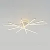 Потолочная люстра Citilux Trent CL203650 CL203650 - 6