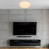 Потолочный светильник Escada 10213/SG LED 10213/SG LED - 5
