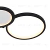 Потолочный светильник F-Promo Neumel 4700-4C 4700-4C - 3
