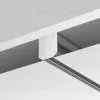 Заглушка торцевая к профилю, 2шт Maytoni Technical TRA034MPEC-21S(N) TRA034MPEC-21S(N) - 4
