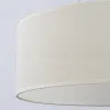 Подвесной светильник F-Promo Hotelero 4796-1P 4796-1P - 5