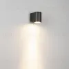 Уличный настенный светильник Arlight LGD-RAY-WALL-R65-9W Day4000 (GR, 23 deg, 230V) (IP65 Металл) 044852(1) 044852(1) - 4