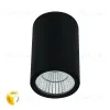 Уличный потолочный светильник Arte Lamp Torcular A1307PF-1BK A1307PF-1BK - 1