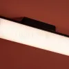 Потолочный светильник Freya Even FR5625CL-L20B FR5625CL-L20B - 12