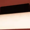 Потолочный светильник Freya Even FR5625CL-L20B FR5625CL-L20B - 15