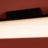 Потолочный светильник Freya Even FR5625CL-L20B FR5625CL-L20B - 10
