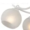 Потолочная люстра Vitaluce V2564-0/4PL V2564-0/4PL - 2